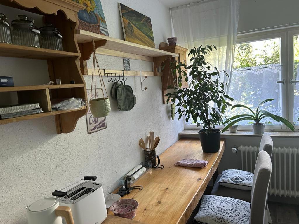 Ferienwohnung An Der Loipe Lichtenstein  エクステリア 写真