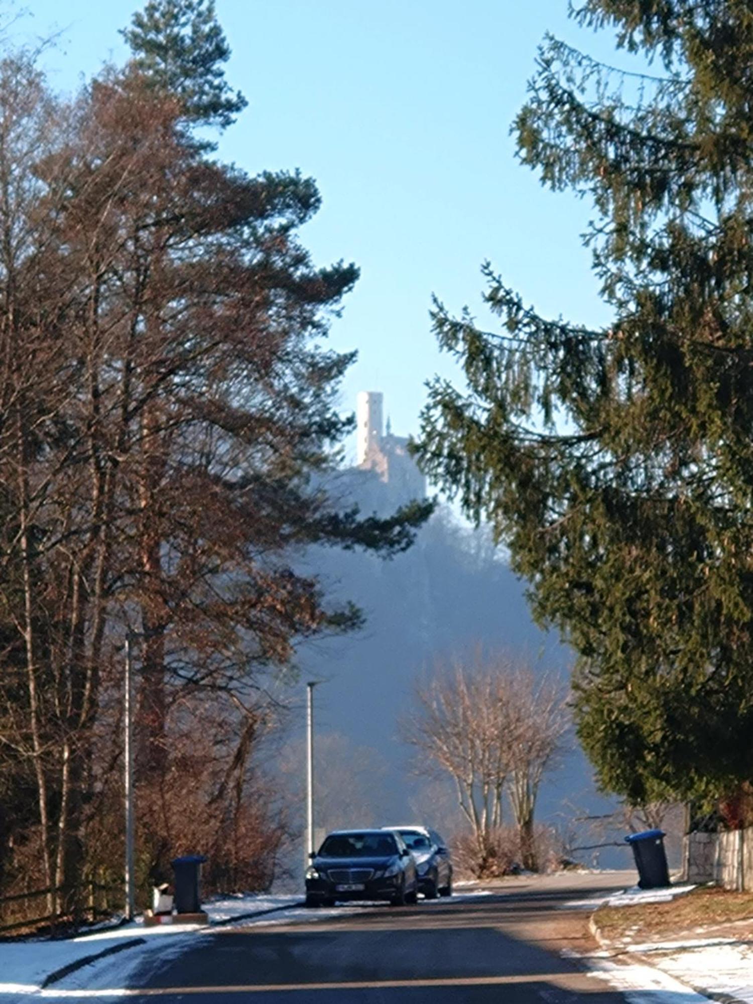Ferienwohnung An Der Loipe Lichtenstein  エクステリア 写真